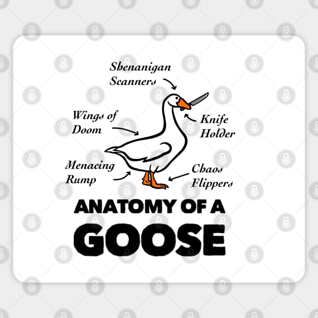 Anatomy of a Goose Magnet by TheUnknown93